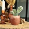 Aroma bowl Amber