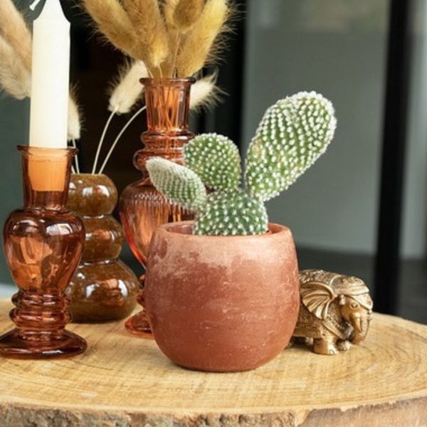Aroma bowl Amber