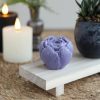 Aroma roos Lavendel
