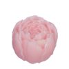 Aroma roos Rose