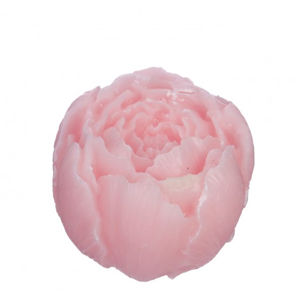 Aroma roos Rose