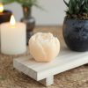 Aroma roos Vanille