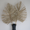 Boho blad pandan 118cm Sfeerbeeld