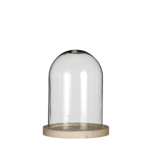 Glazen stolp hout 16cm