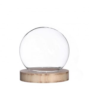 Glazen stolp hout bol 14cm