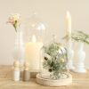 Glazen stolp hout knop 18cm