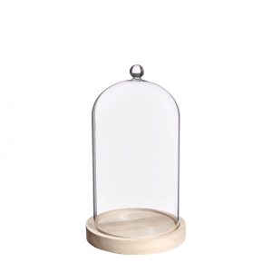 Glazen stolp hout knop 24cm