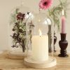 Glazen stolp hout knop 24cm