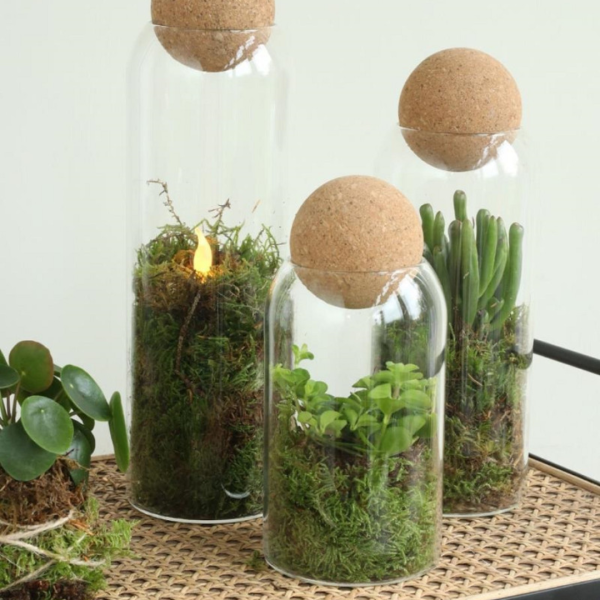 Terrarium vaas Sienna sfeerfoto