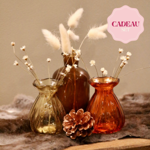Accessoire setje van glazen vaasjes met droogbloemen in warme tinten om cadeau te doen