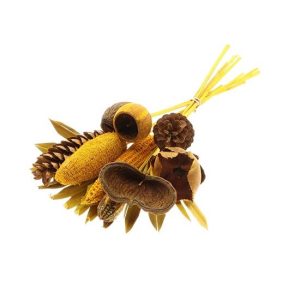 Droogbloemen Exotic boeket | 55cm 258gr | Geel