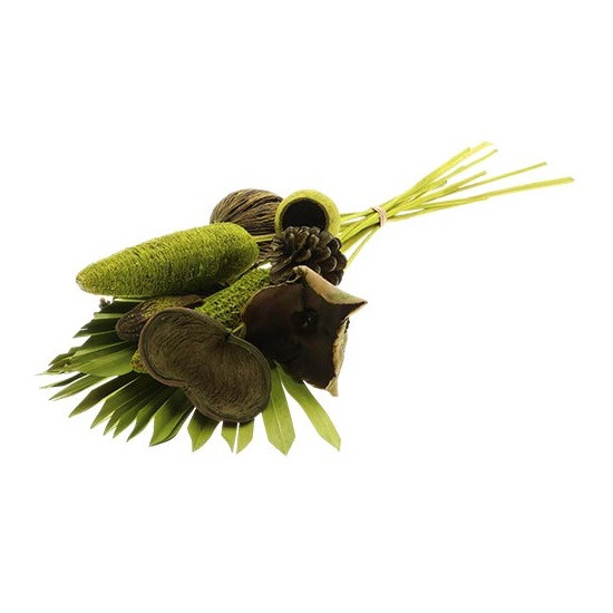 Doorgbloemen Exotic boeket | 55cm 258gr | Groen