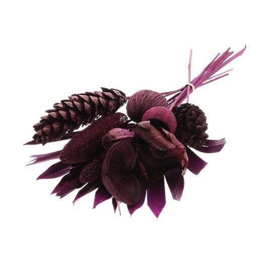 Droogbloemen Exotic boeket | 55cm 258gr | Paars