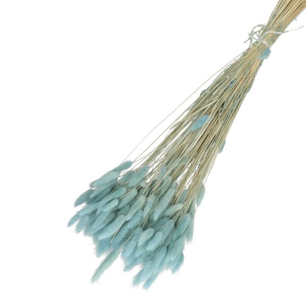 Droogbloemen Lagurus bundel | 65cm 100gr | Blauw Droogbloemen Lagurus bundel | 65cm 100gr | Blauw
