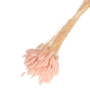 Droogbloemen Lagurus bundel | 65cm 100gr | Roze