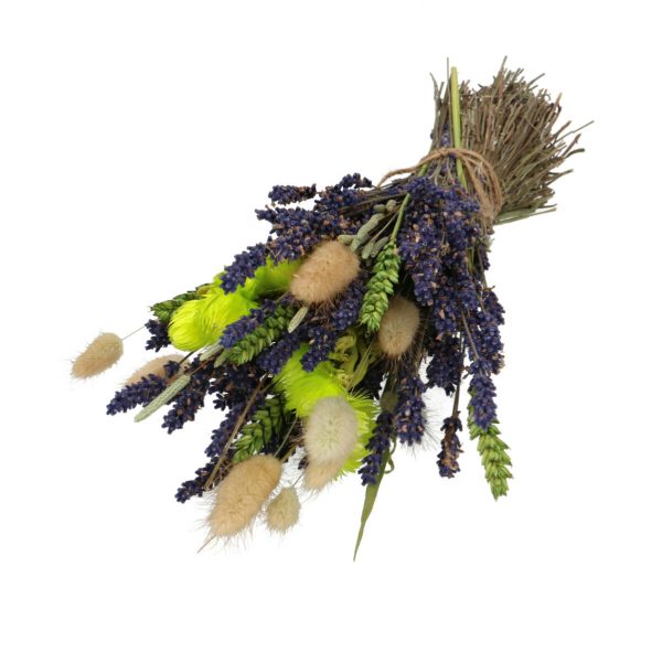 Droogbloemen Lavendel boeket | 33cm 110gr | Groen