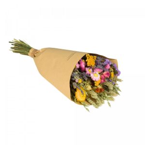 Floriëtte droogbloemen Field boeket | 50cm 100gr | Multi