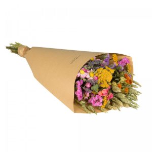 Floriëtte droogbloemen Field boeket | 60cm 125gr | Multi
