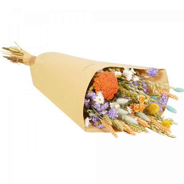 Floriëtte droogbloemen Field boeket | 60cm 125gr | Pastel