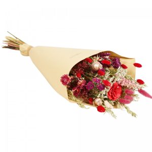 Floriëtte droogbloemen Field boeket | 60cm 125gr | Rood
