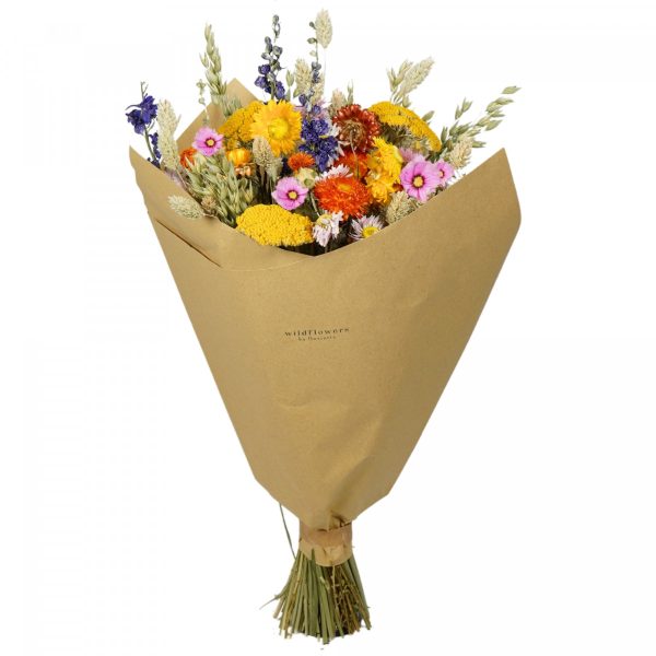Floriëtte droogbloemen Classic boeket | 60cm 150gr | Multi