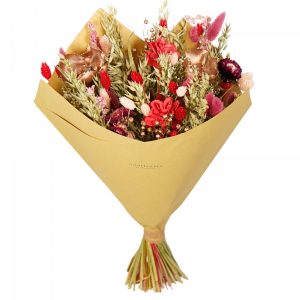 Floriëtte droogbloemen Classic boeket | 60cm 150gr | Rood
