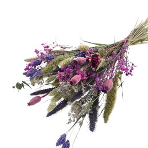 4203683_2D_0001 Droogbloemen Cute boeket | 55cm 100gr | Paars