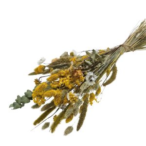 4203684_2D_0001 Droogbloemen Cute boeket | 55cm 100gr | Geel