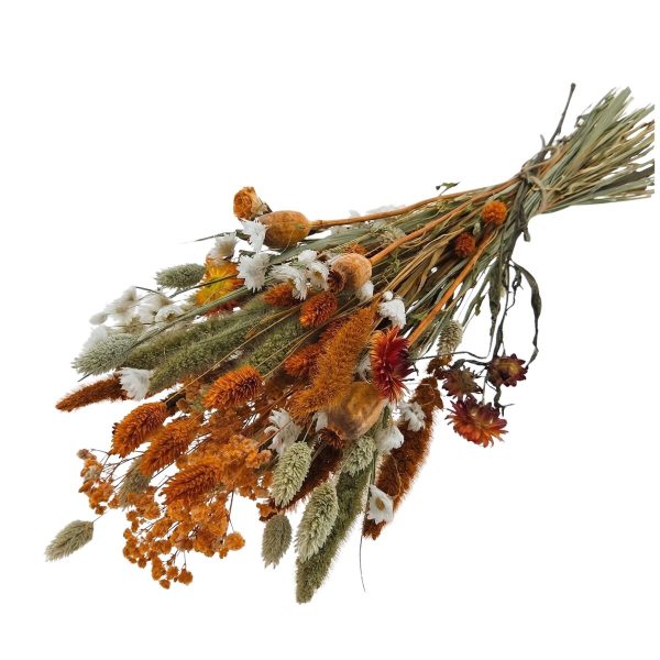 4203685_2D_0001 Droogbloemen Cute boeket | 55cm 100gr | Oranje