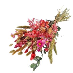 4203686_2D_0001 Droogbloemen Cute boeket | 55cm 100gr | Roze